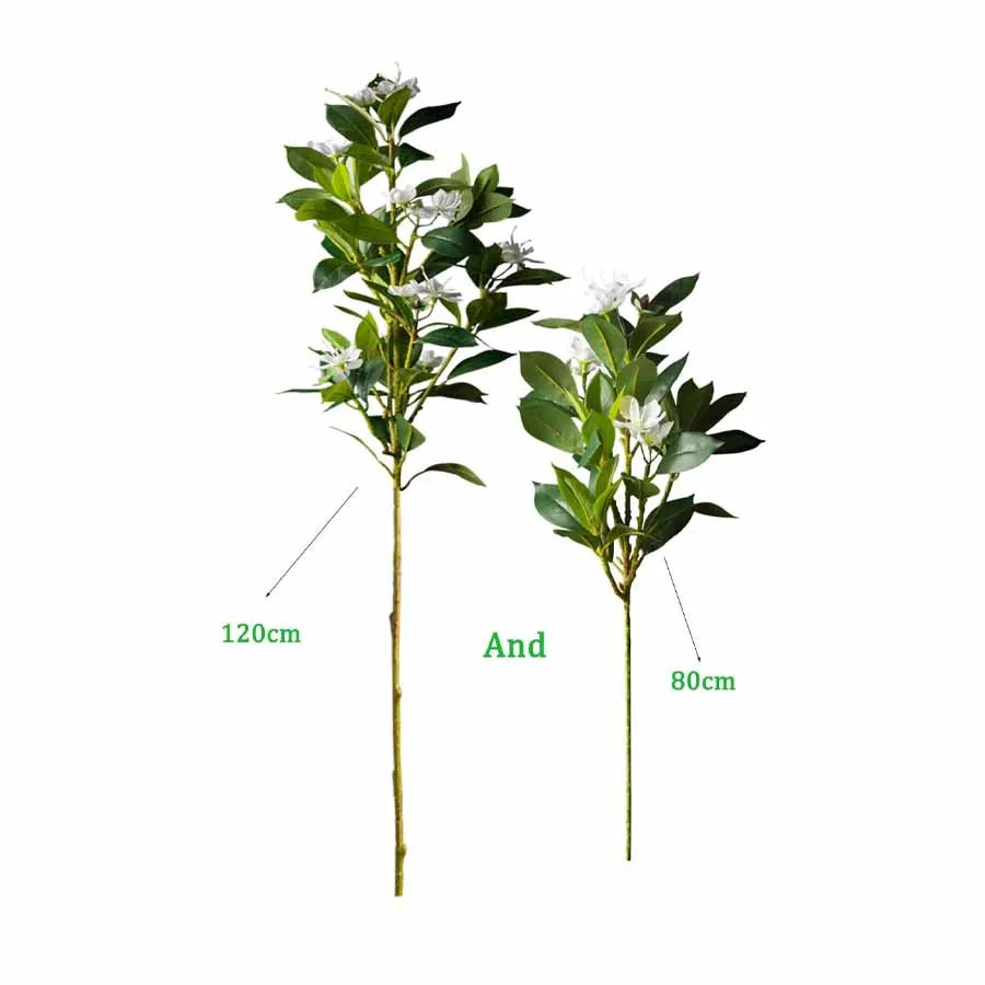 Everleaf: Tropical Ficus Floor Tree