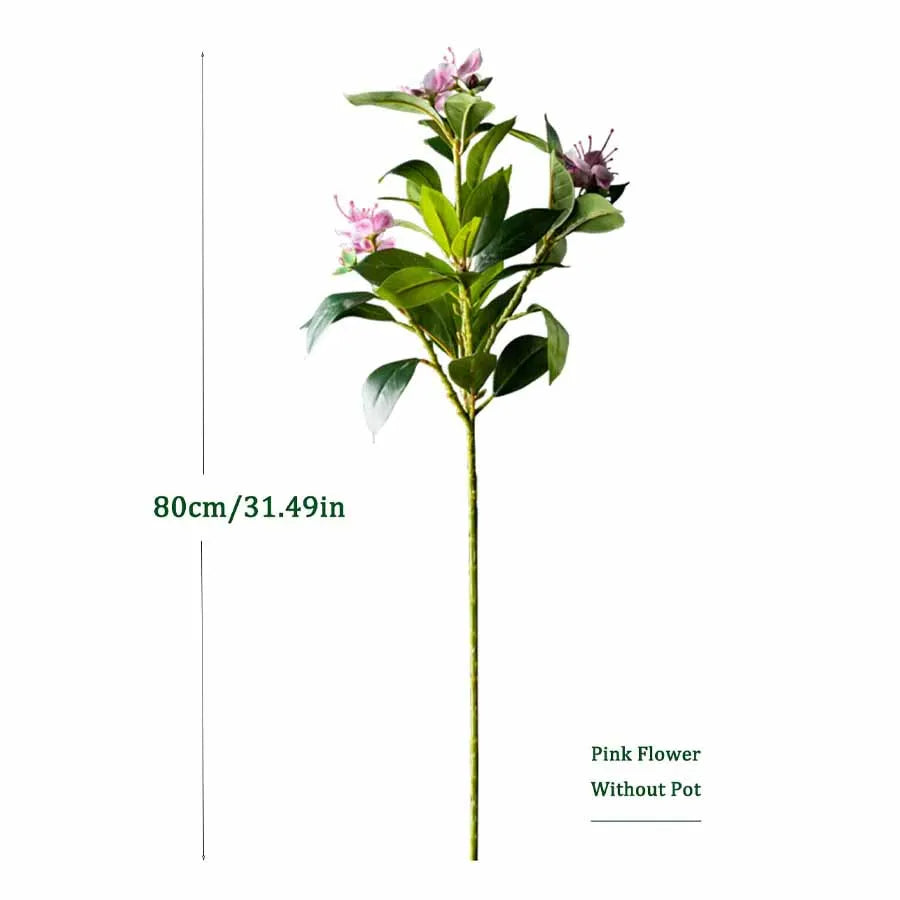 Everleaf: Tropical Ficus Floor Tree