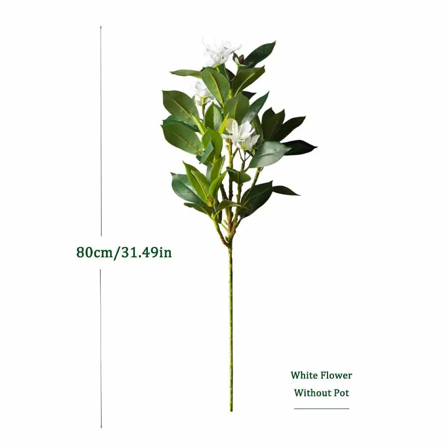 Everleaf: Tropical Ficus Floor Tree