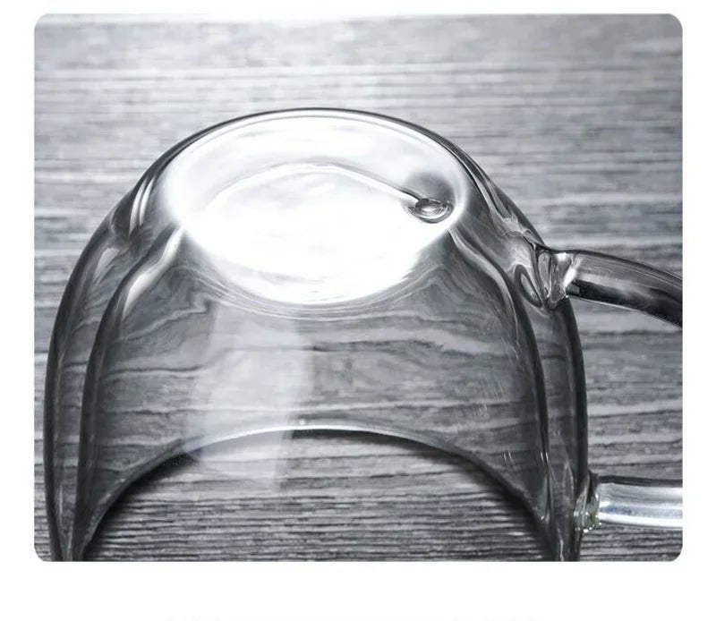 Double Wall Glass Coffee Mug