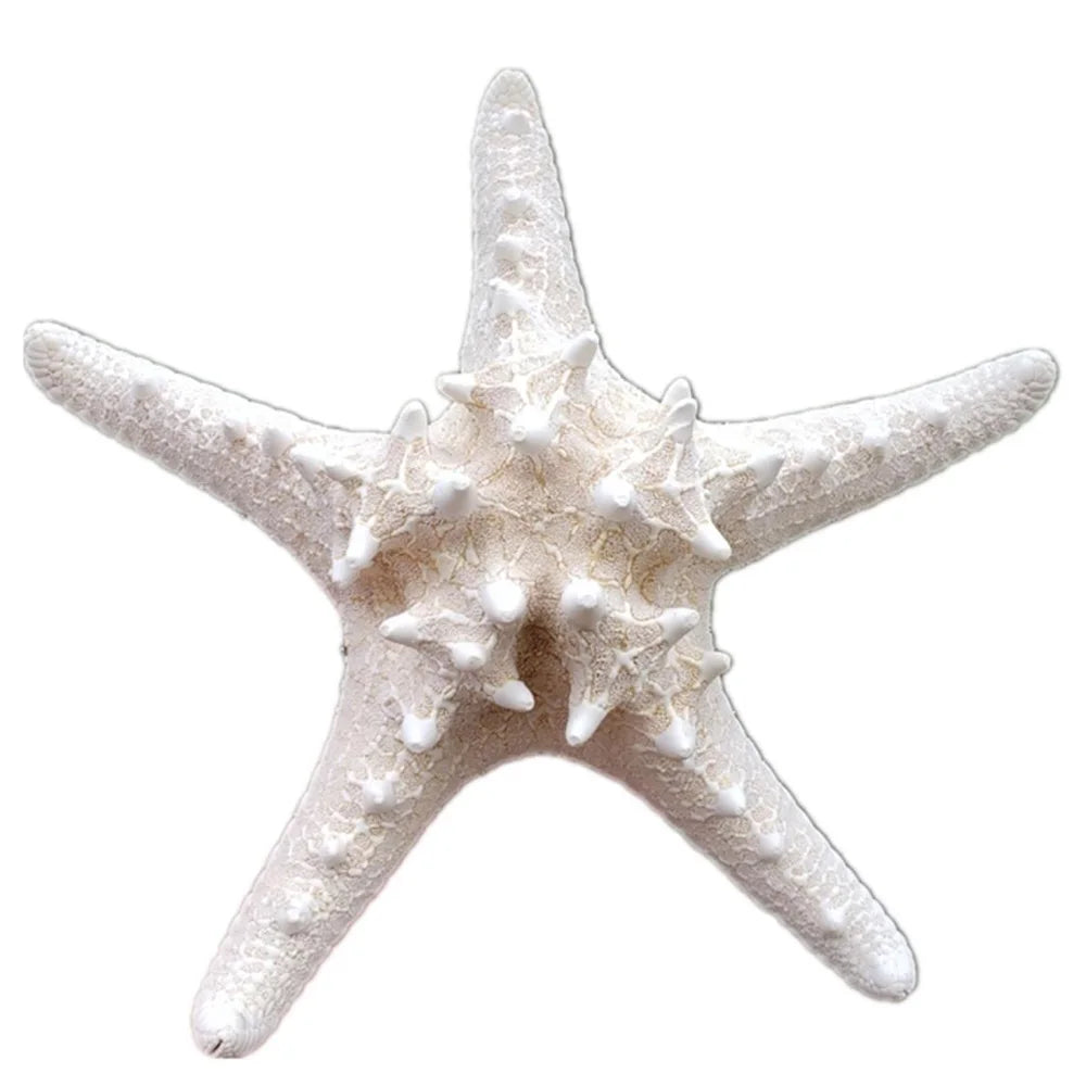 1pcs 18-20cm size natural white Conch sea shell white starfish shell for home decoration or gift