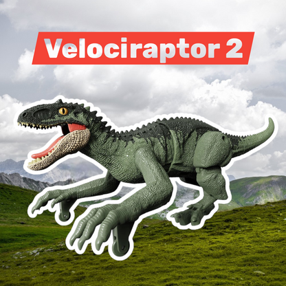 Raptor Run: 2.4GHz Remote Velociraptor (Ages 6–12)