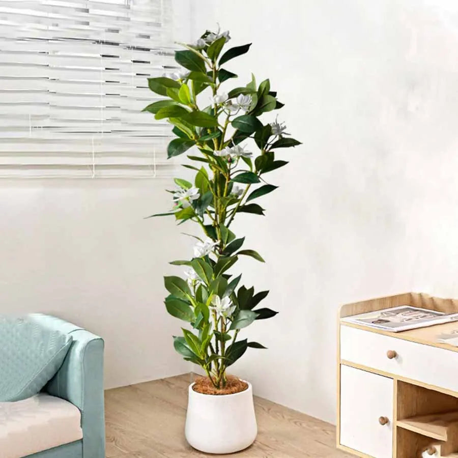 Everleaf: Tropical Ficus Floor Tree