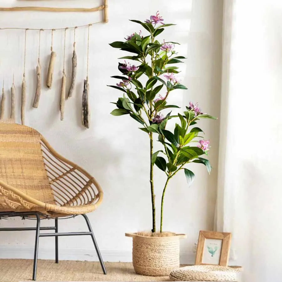 Everleaf: Tropical Ficus Floor Tree