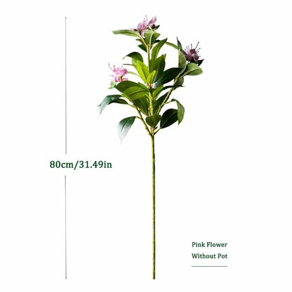 Everleaf: Tropical Ficus Floor Tree