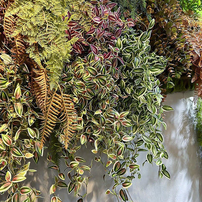 Evergreen Grace: 75cm Silk Hanging Vine