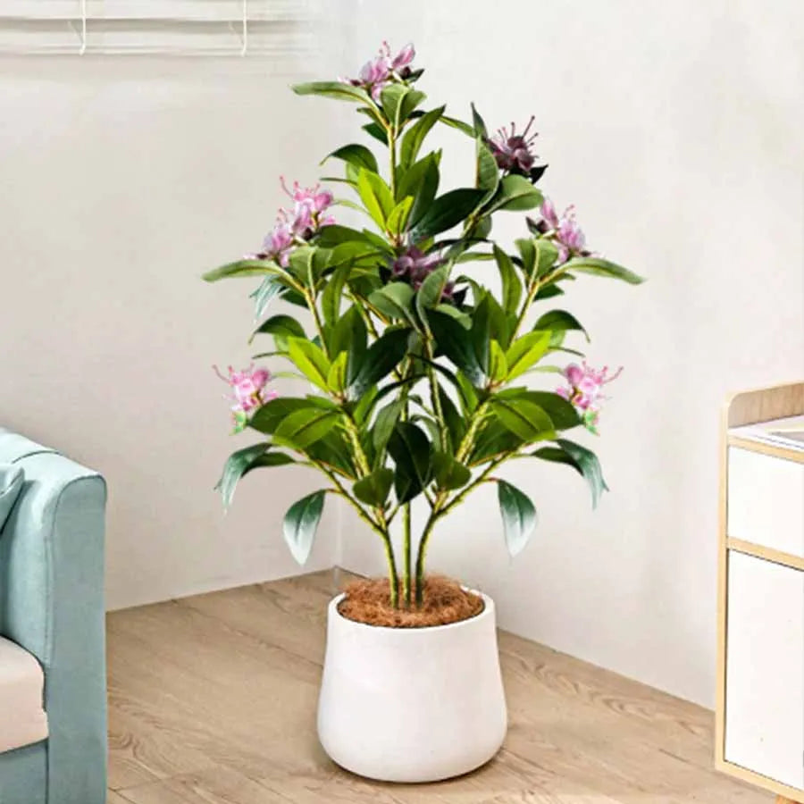 Everleaf: Tropical Ficus Floor Tree