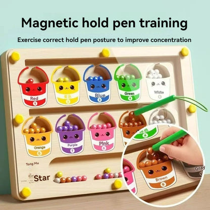 Focus Maze: Magnetic Walking Ball Puzzle (Ages 3–6)