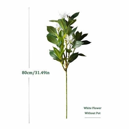 Everleaf: Tropical Ficus Floor Tree