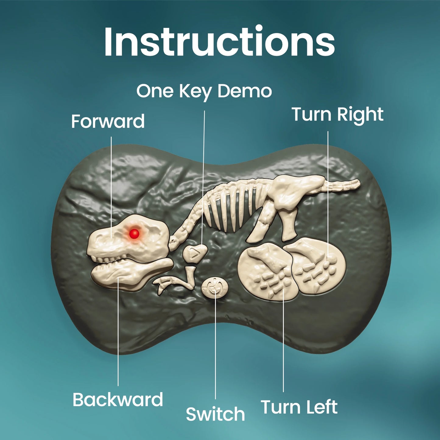 Raptor Run: 2.4GHz Remote Velociraptor (Ages 6–12)