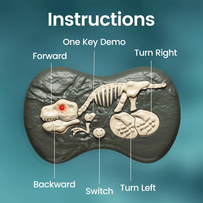 Raptor Run: 2.4GHz Remote Velociraptor (Ages 6–12)