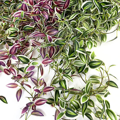 Evergreen Grace: 75cm Silk Hanging Vine