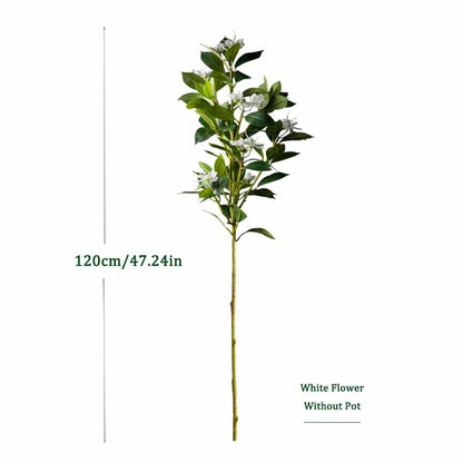 Everleaf: Tropical Ficus Floor Tree