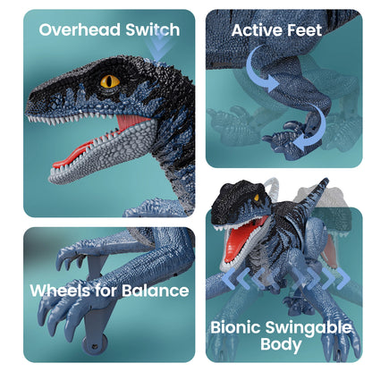 Raptor Run: 2.4GHz Remote Velociraptor (Ages 6–12)