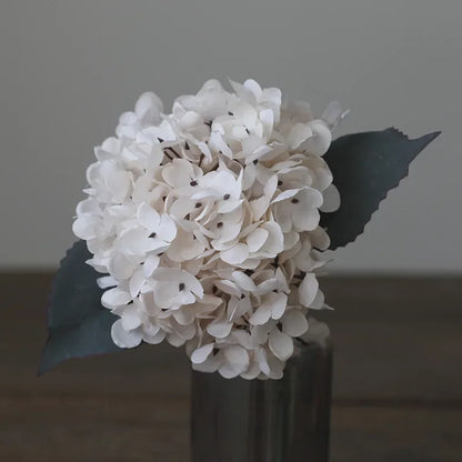Soft Bloom: Silk Hydrangea Stem