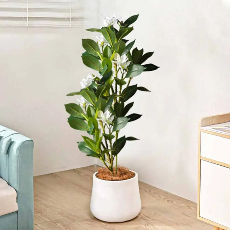 Everleaf: Tropical Ficus Floor Tree