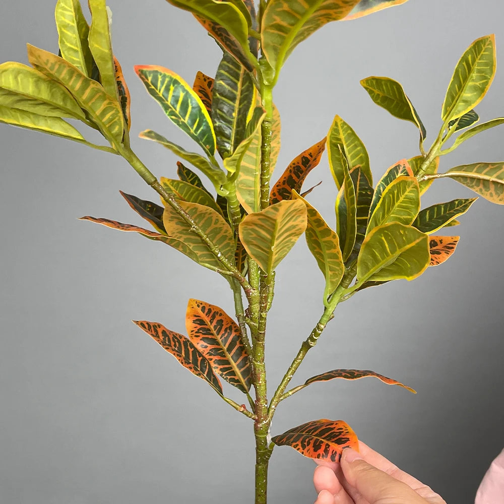 Palm Echo: Tropical Magnolia Foliage Branch