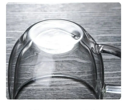 Double Wall Glass Coffee Mug